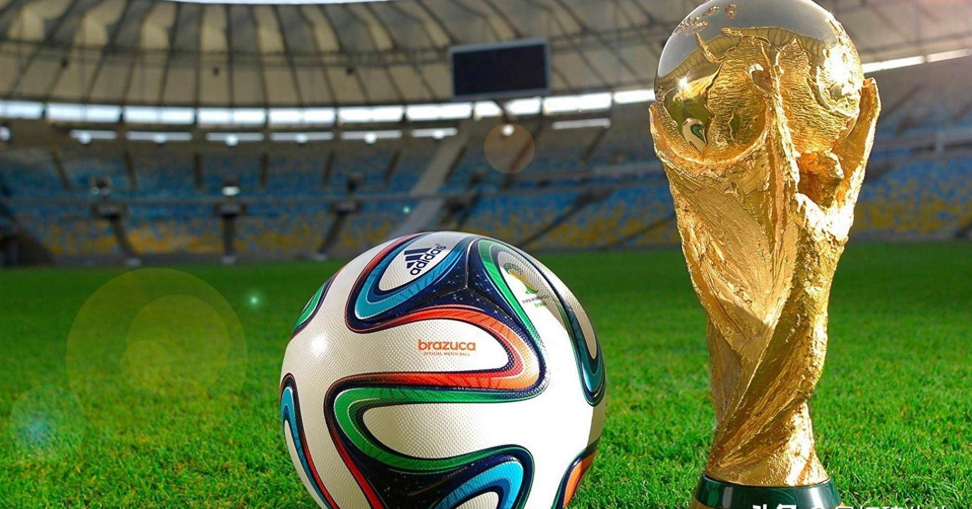 将是决定中 将是决定中