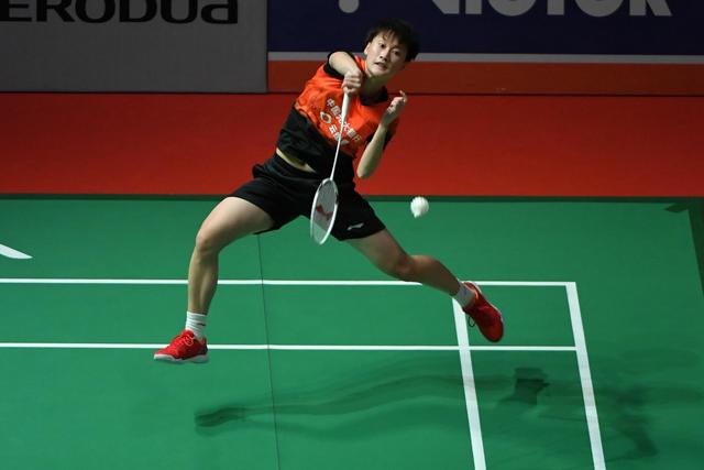 也吸引了大 也吸引了大