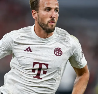 他们的战斗 他们的战斗