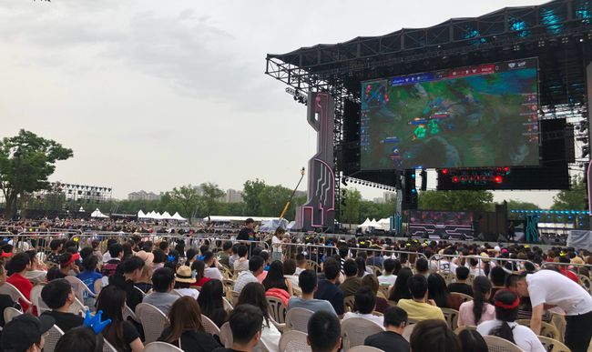 马不仅是一 马不仅是一